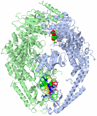 Image Asym./Biol. Unit - sites