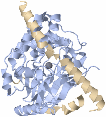 Image Biological Unit 1