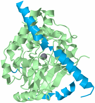 Image Biological Unit 2