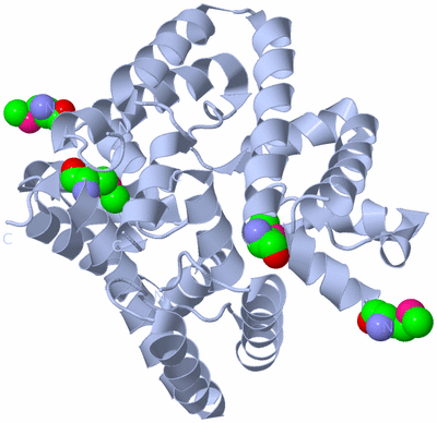 Image Biological Unit 1