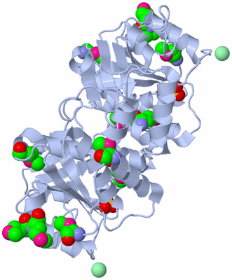 Image Biological Unit 1