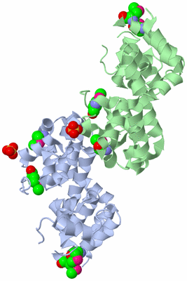 Image Asymmetric Unit