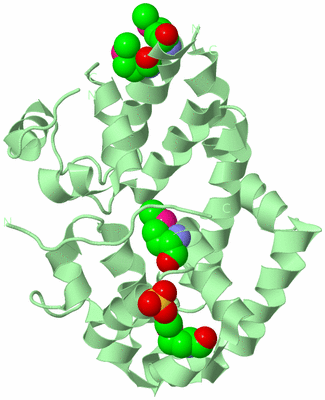 Image Biological Unit 2