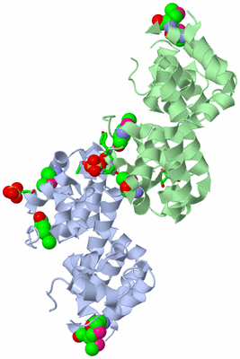 Image Asym. Unit - sites