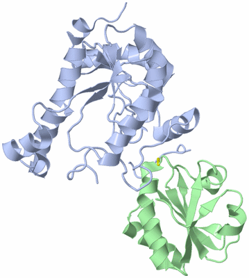 Image Biological Unit 2