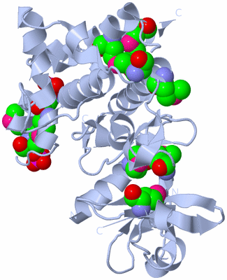 Image Biological Unit 1