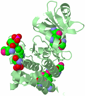 Image Biological Unit 2