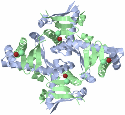 Image Biological Unit 1
