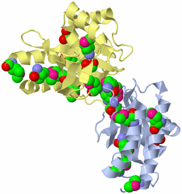 Image Biological Unit 1