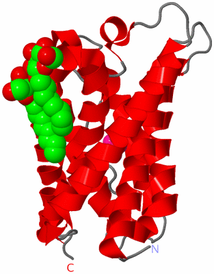 Image Asymmetric Unit