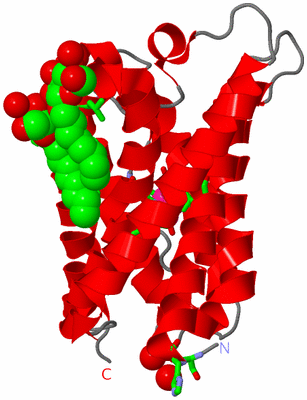 Image Asym. Unit - sites