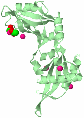 Image Biological Unit 2