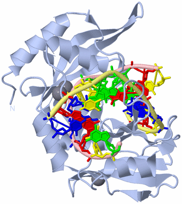 Image Biological Unit 1