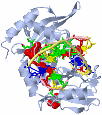 Image Biol. Unit 1 - sites