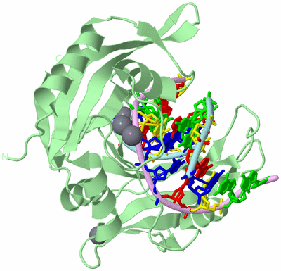 Image Biological Unit 2