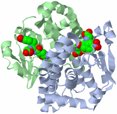 Image Asym./Biol. Unit