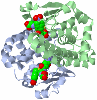 Image Asym./Biol. Unit