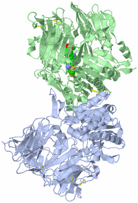 Image Biological Unit 1