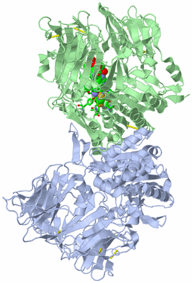 Image Biol. Unit 1 - sites