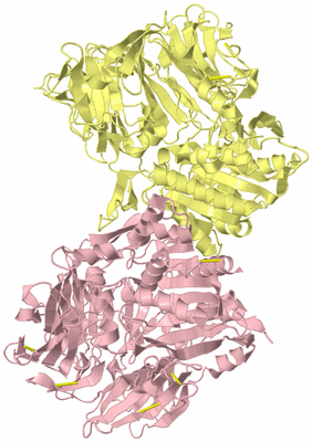 Image Biological Unit 2