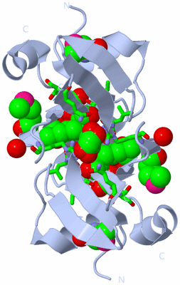 Image Biol. Unit 1 - sites