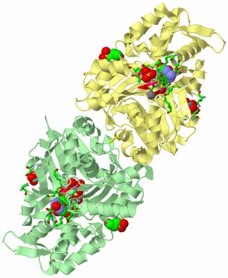 Image Biol. Unit 1 - sites