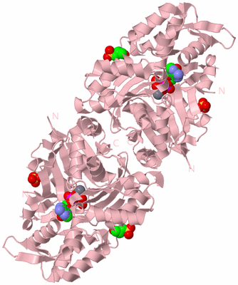 Image Biological Unit 2