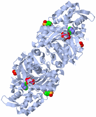 Image Biological Unit 3