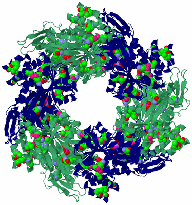 Image Biological Unit 1