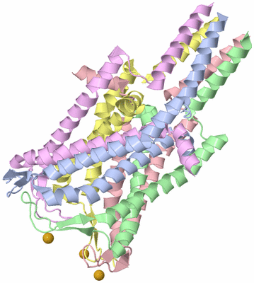 Image Biological Unit 1