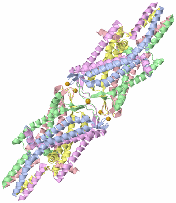 Image Biological Unit 2