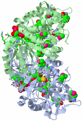 Image Biol. Unit 1 - sites