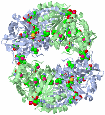 Image Biological Unit 2