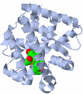 Image Biological Unit 1