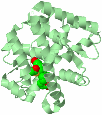 Image Biological Unit 2