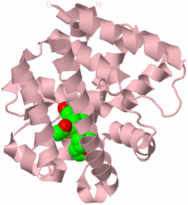 Image Biological Unit 3