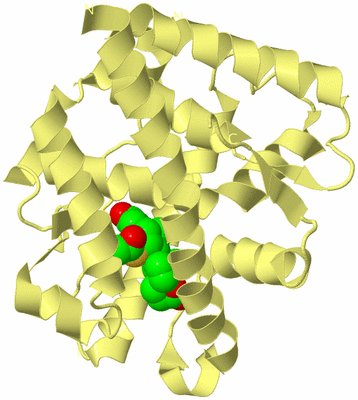 Image Biological Unit 4