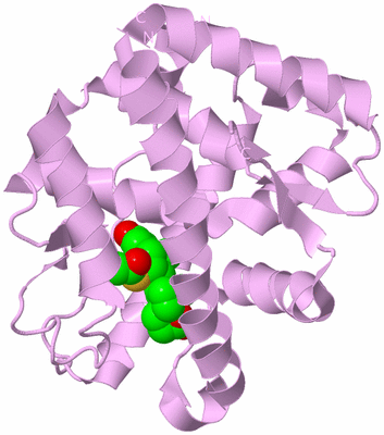 Image Biological Unit 5