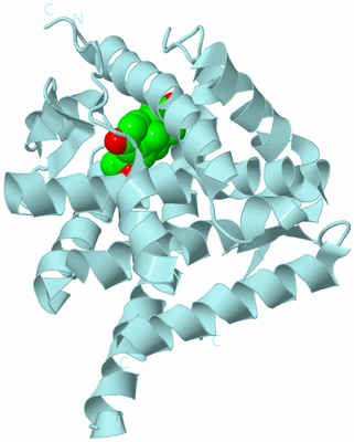 Image Biological Unit 6