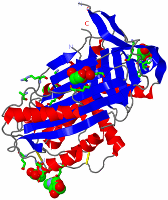 Image Asym./Biol. Unit - sites