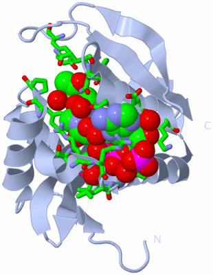 Image Biol. Unit 1 - sites