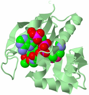 Image Biological Unit 2