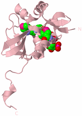 Image Biological Unit 3