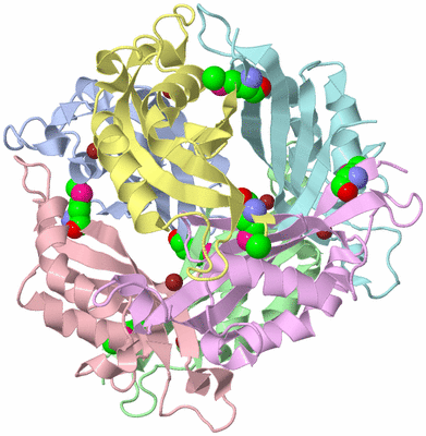 Image Asym./Biol. Unit