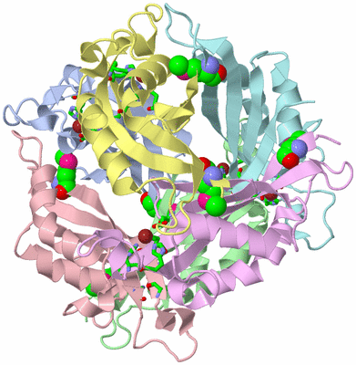 Image Asym./Biol. Unit - sites