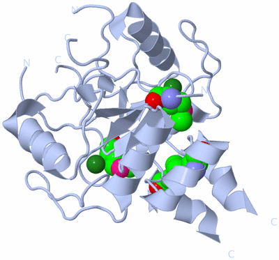 Image Biological Unit 1