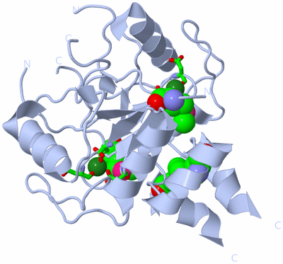 Image Biol. Unit 1 - sites