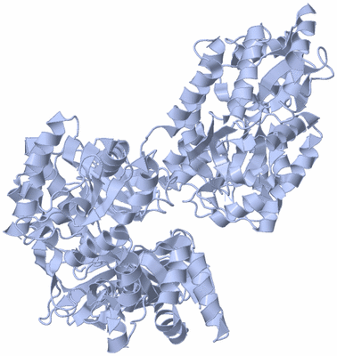 Image Biological Unit 1