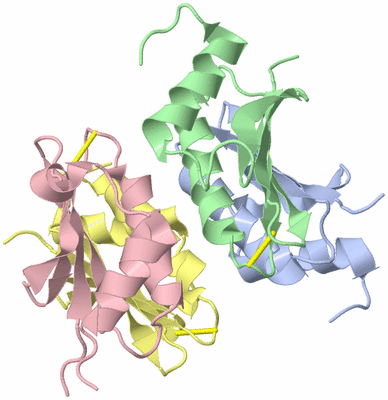 Image Biological Unit 1