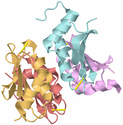 Image Biological Unit 2